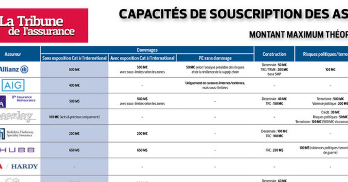 Overview of major risk capacities 2021